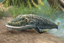 Loài vật quái nhất hành tinh: Lên bờ làm thú, xuống nước hóa cá 