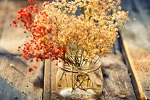 Dự đoán vận thế tháng 5/2018 cho 12 con giáp