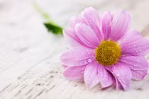 Đây đích thị là ba con giáp vận đỏ hơn son trong tháng 6/2018