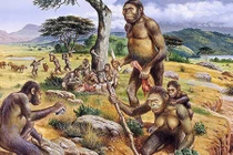 Phát hiện vết cắt hóa thạch, lộ sự thật sốc về tổ tiên loài người