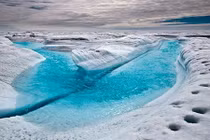 Băng Greenland tan chảy mạnh, thảm hoạ có xảy ra? 