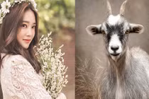 Chưa hết vận đen, ba con giáp tình tiền lao đao năm Quý Mão