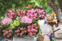 Dự đoán ngày mới 25/05/2018 cho 12 con giáp