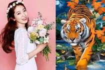 3 con giáp phất lên như diều gặp gió trong 7 ngày tới