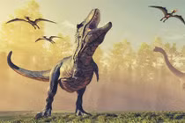 Phát hiện bất ngờ “dân số” T-Rex trên Trái Đất trước khi tuyệt chủng