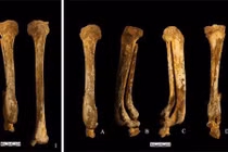 Phát hiện hài cốt 3.000 tuổi, lộ hình phạt đáng sợ thời Trung cổ