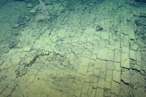 Phát hiện con đường nghi dẫn đến thành phố Atlantis, chuyên gia giải mã sốc 