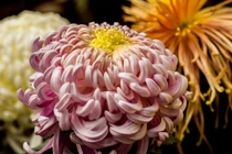 Dự đoán tháng 4/2018 cho 12 con giáp