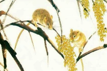 Sau tiết Thanh minh, ba con giáp trăm tỷ trong tay, vận may tới tấp 