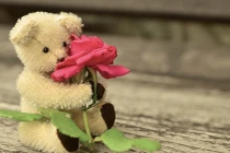 Chúc mừng bốn con giáp vận đỏ hơn son trong tháng 5/2018