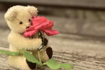 Chúc mừng bốn con giáp vận đỏ hơn son trong tháng 5/2018