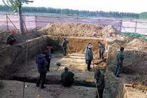 Ly kỳ 10 con cá trê “dẫn lối” đến mộ cổ 2.000 tuổi