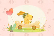 Dự đoán ngày mới 02/12/2018 cho 12 con giáp