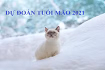 Dự đoán năm Tân Sửu 2021 cho người tuổi Mão: Hung xui lấn át, vận thế khó lường 