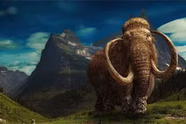 Bất ngờ tìm thấy xác voi ma mút: Nguyên vẹn hoàn hảo cả vạn năm! 