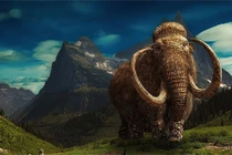 Bất ngờ tìm thấy xác voi ma mút: Nguyên vẹn hoàn hảo cả vạn năm! 