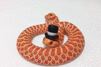  2 tháng tới, con giáp lộc về liền tay, tiền đếm cả ngày không hết