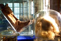  Khai thác mỏ, công nhân bủn rủn chân tay phát hiện xác ướp "người muối" 