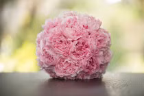 Chúc mừng 4 con giáp giàu nứt đố đổ vách khi hè sang 