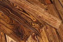 Tận mục 10 loại gỗ đắt giá quý hiếm nhất thế giới 