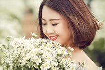 10X khoe vẻ đẹp tinh khôi giữa vườn cúc họa mi