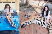 Cuộc sống sang chảnh của hot girl nuôi hổ trong nhà