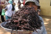 6 trải nghiệm du lịch bạn không bao giờ muốn thử