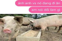 Chết cười với đủ trò đùa “lầy lội” ngày Cá tháng Tư