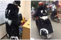 “Ông em giấu mặt” của Sơn Tùng “lạc trôi” trên đường HN