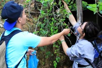 Phượt Đà Lạt khám phá những vườn dâu sạch