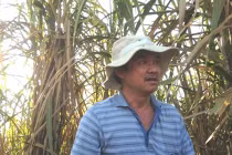 Mạnh tay chi nghìn tỷ, bầu Đức đi nuôi bò