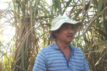 Mạnh tay chi nghìn tỷ, bầu Đức đi nuôi bò