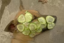 Ảnh cười Facebook: Cún đắp mặt nạ làm đẹp