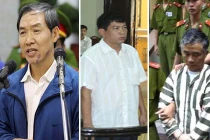 Có bao nhiêu “Dương Chí Dũng” đỉnh cao quyền lực... ngã ngựa?