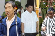 Có bao nhiêu “Dương Chí Dũng” đỉnh cao quyền lực... ngã ngựa?