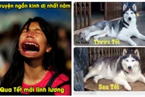 “Cười không nhặt được mồm” với ảnh chế Tết 2017