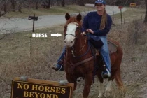 Cấm gì làm nấy!