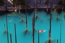 Mát mắt tận hưởng khu rừng dưới nước tuyệt đẹp