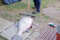 Ảnh độc chỉ có ở Nga (45)