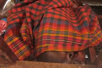 Giải cứu chú đười ươi đáng thương khỏi chuồng gà