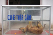 Cười "bắn cơm" khi xem xong những hình ảnh này