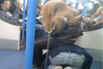 Hành động... không giống ai nơi công cộng (9)