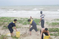 Đà Nẵng hối hả phòng chống bão số 11 