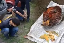 Hai người Việt buôn thịt hổ bị bắt ở Nga