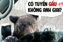 Giây phút “nguy hiểm” của động vật (40)