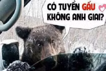 Giây phút “nguy hiểm” của động vật (40)