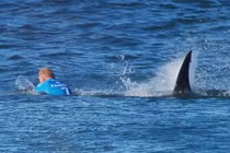 VĐV lướt ván bị cá mập tấn công trên sóng trực tiếp