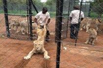 Ảnh cười Facebook: Thanh niên cứng