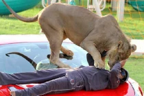 Ảnh độc chỉ có ở Dubai (2)