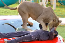 Ảnh độc chỉ có ở Dubai (2)